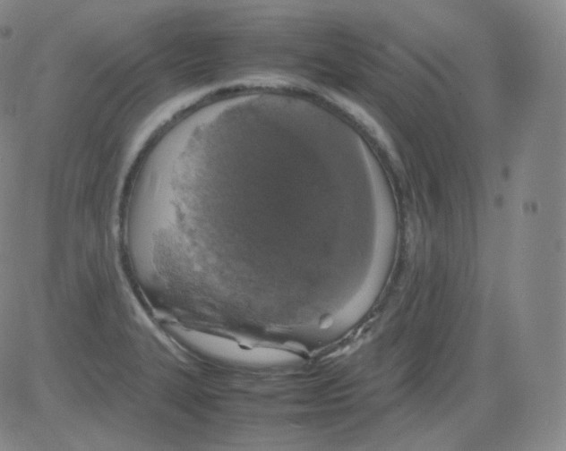 X0000082691327200702232154