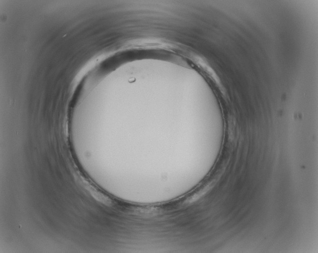 X0000082691328200702232154