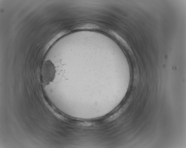 X0000082691329200702232154