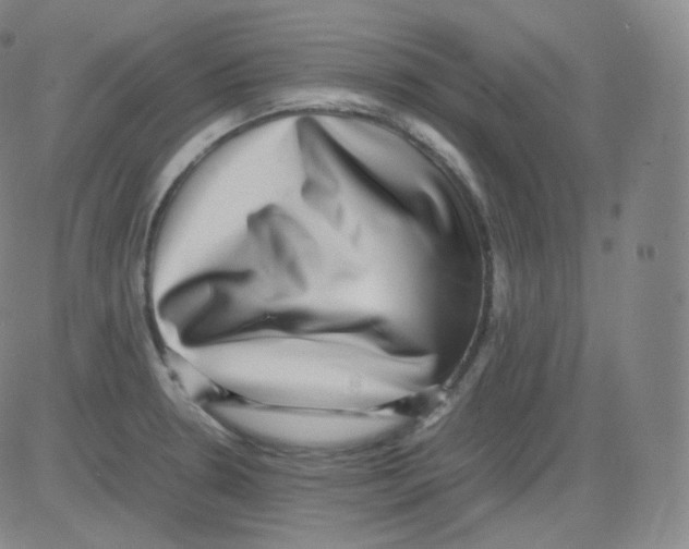 X0000082691330200702232154