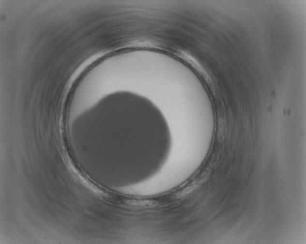 X0000082691331200702232154