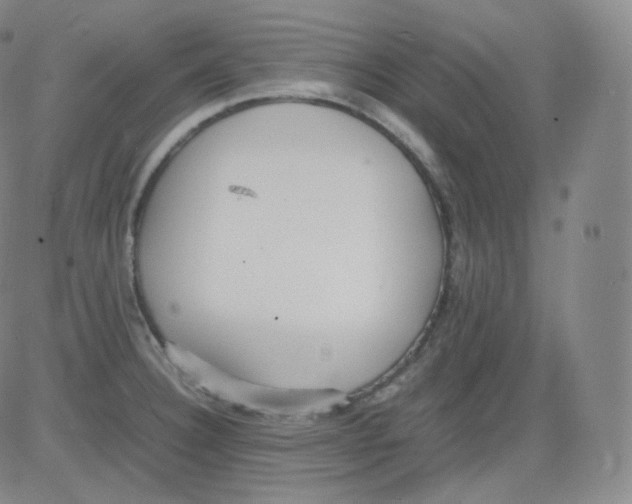 X0000082691332200702232154