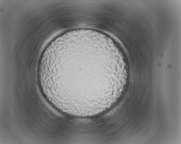 X0000082691333200702232154