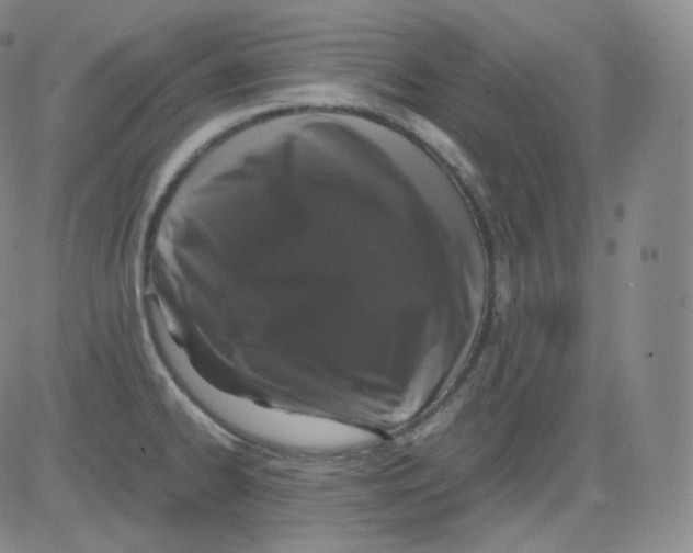 X0000082691334200702232154