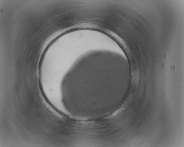 X0000082691335200702232154