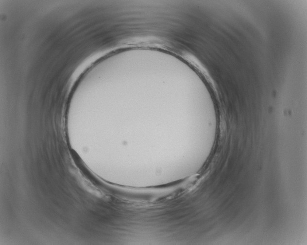 X0000082691336200702232154