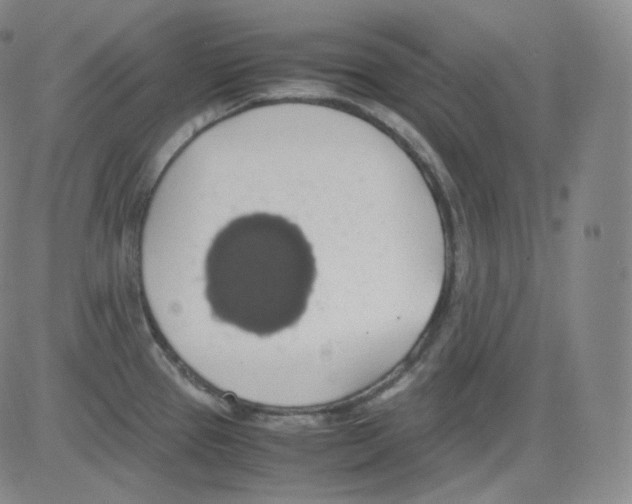 X0000082691337200702232154