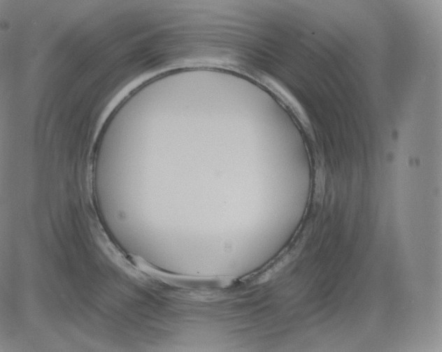 X0000082691340200702232154