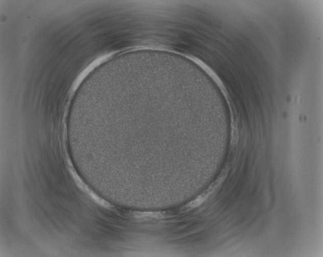 X0000082691341200702232154