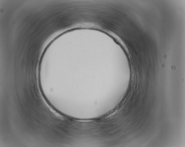 X0000082691343200702232154