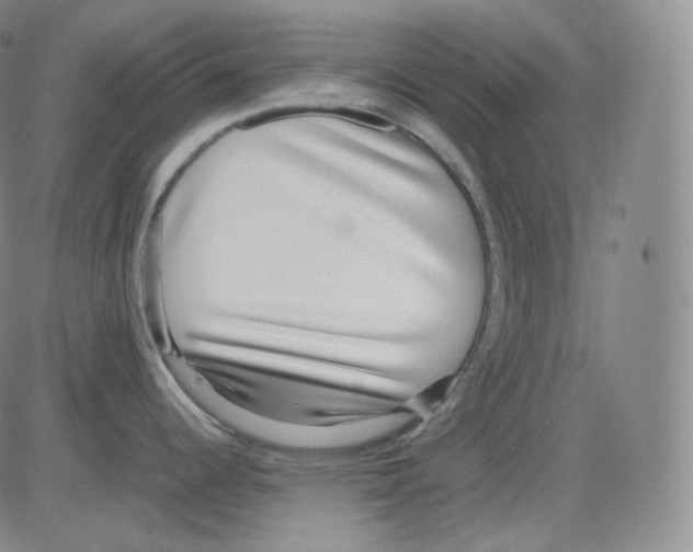 X0000082691344200702232154