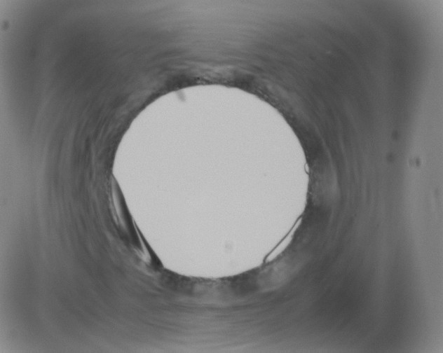 X0000082691345200702232154