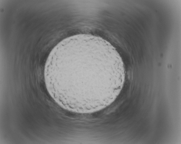 X0000082691347200702232153