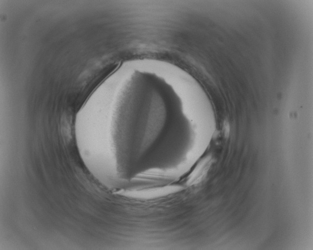 X0000082691348200702232153