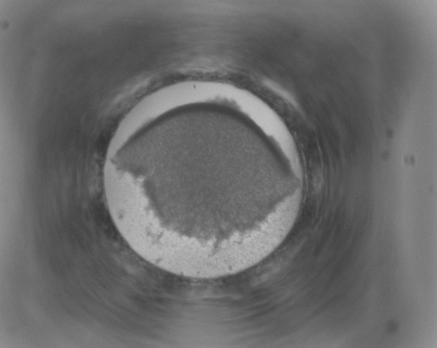 X0000082691350200702232153