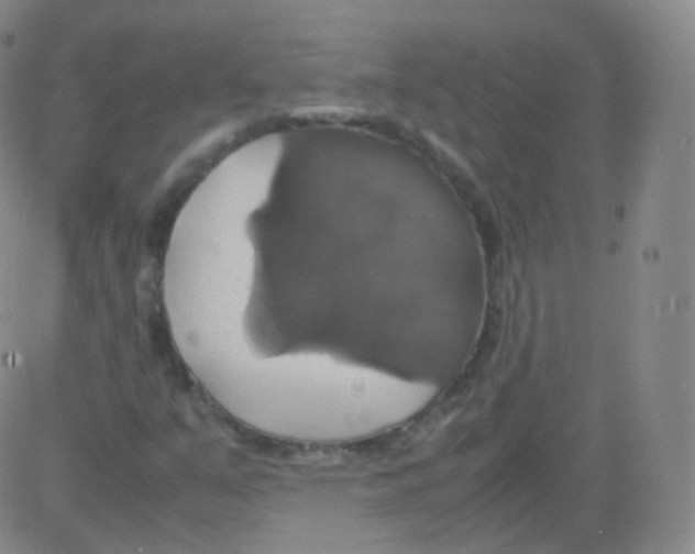 X0000082691351200702232153