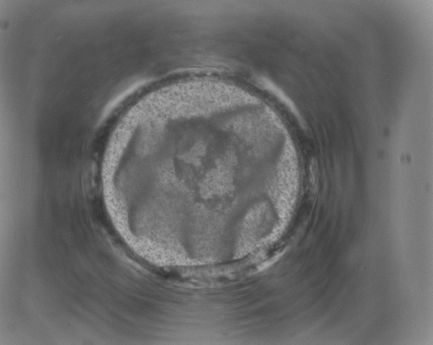 X0000082691352200702232153