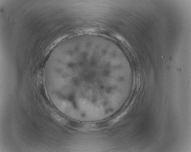 X0000082691353200702232153