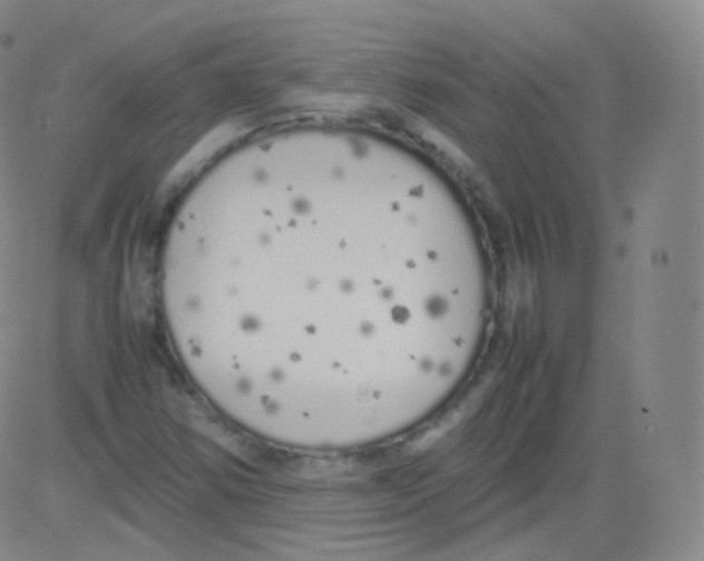 X0000082691354200702232153