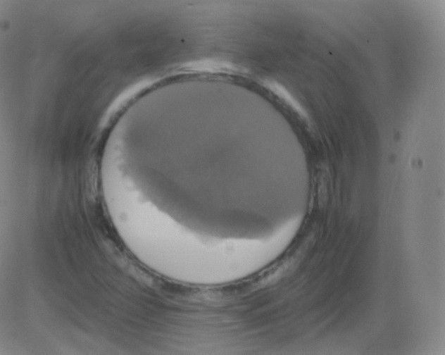 X0000082691358200702232153