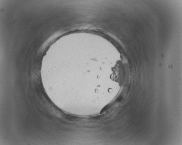 X0000082691359200702232153