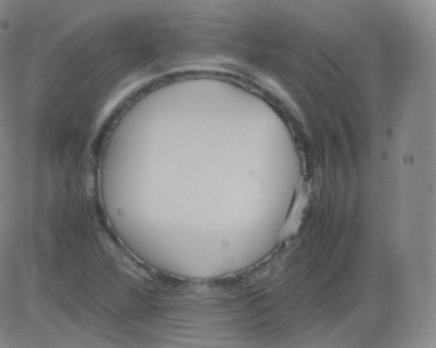 X0000082691360200702232153