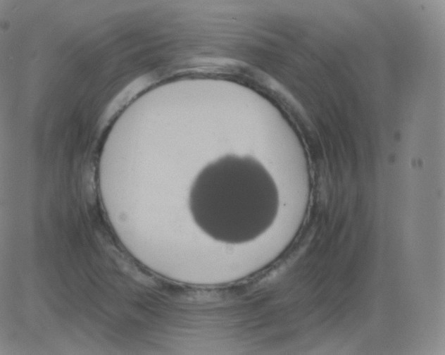 X0000082691362200702232153