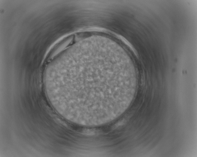 X0000082691364200702232153