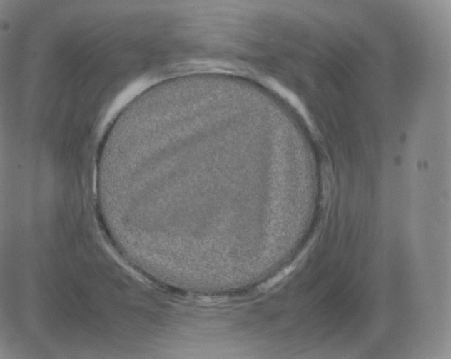 X0000082691365200702232153