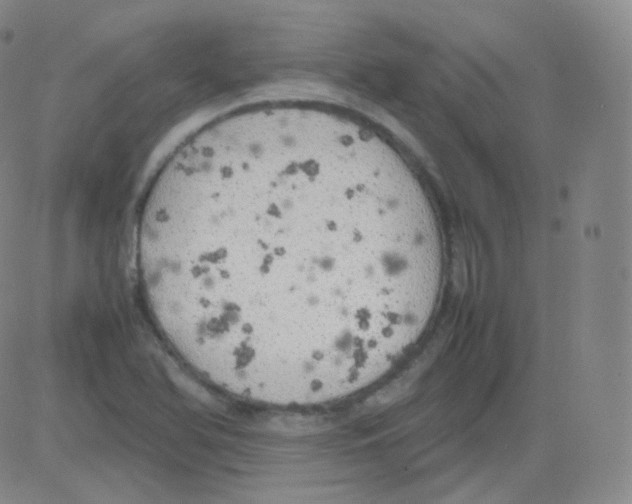 X0000082691366200702232153