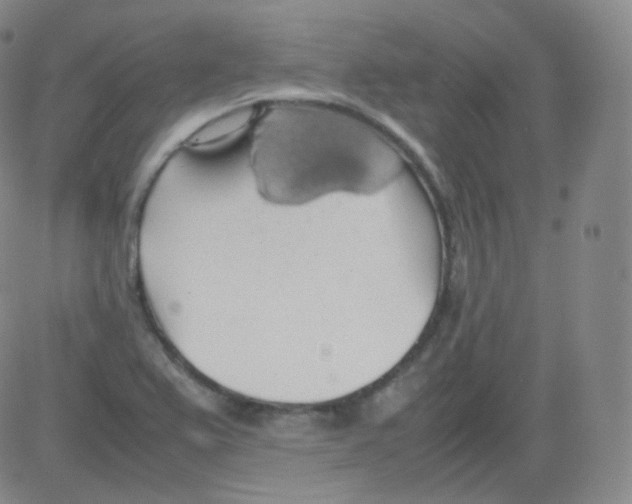 X0000082691367200702232153