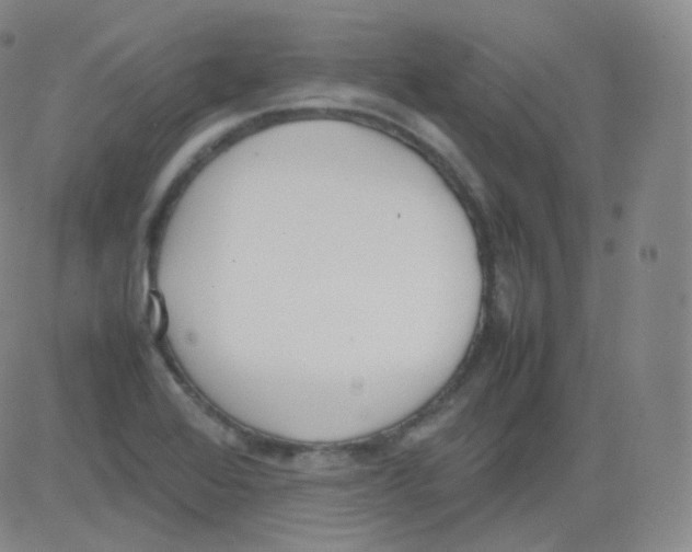 X0000082691368200702232153