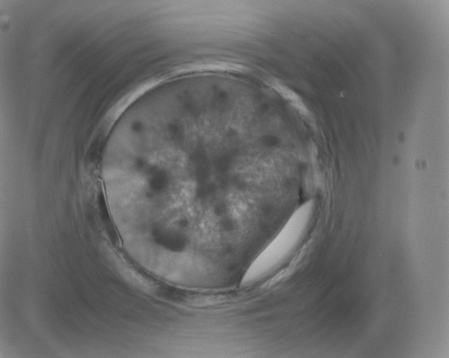 X0000082691369200702232153