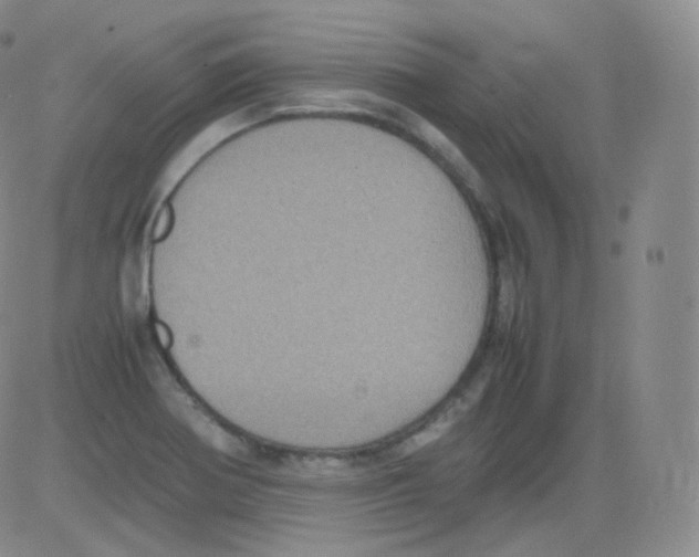 X0000082691370200702232153