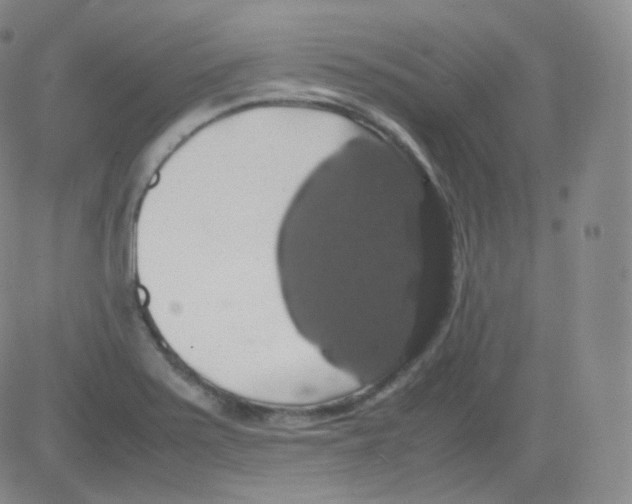 X0000082691371200702232153