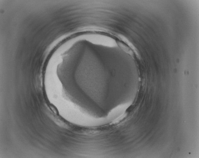 X0000082691372200702232153