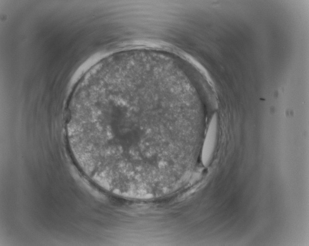 X0000082691373200702232153