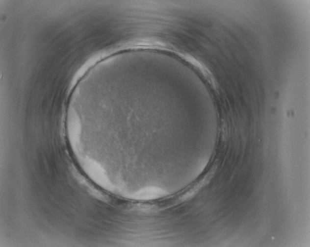 X0000082691374200702232153