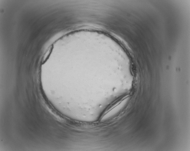 X0000082691375200702232153