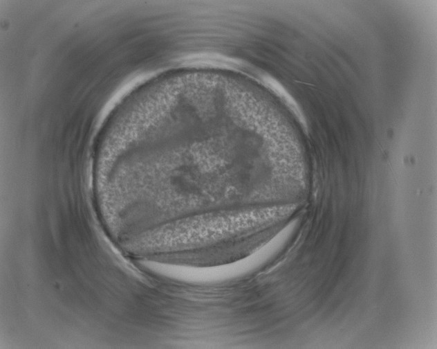 X0000082691376200702232153