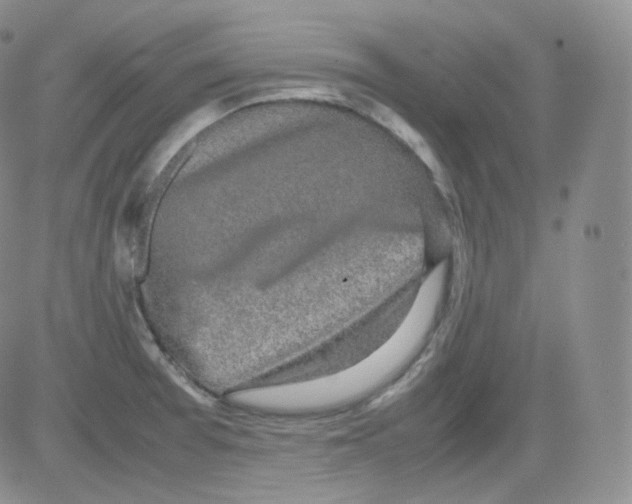 X0000082691377200702232153