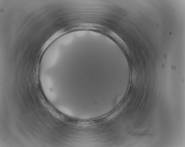 X0000082691378200702232153