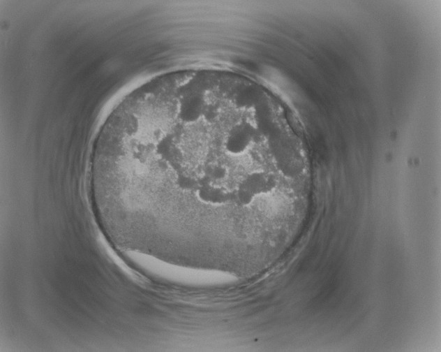 X0000082691379200702232153