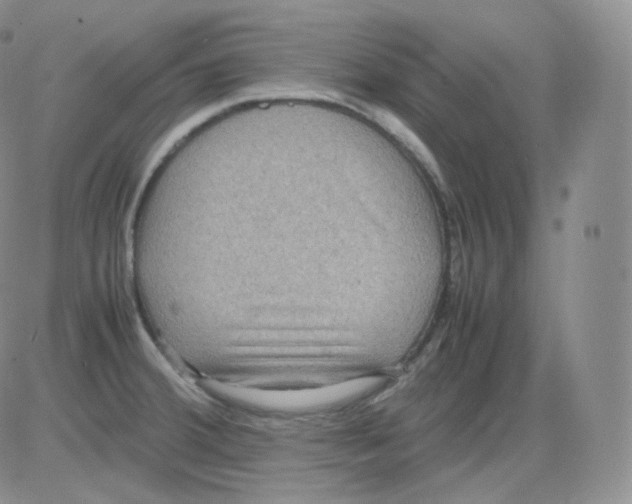 X0000082691380200702232153