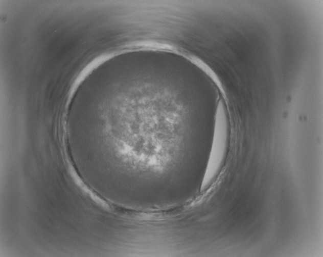 X0000082691381200702232153