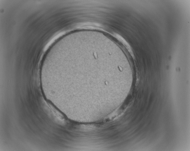 X0000082691384200702232153