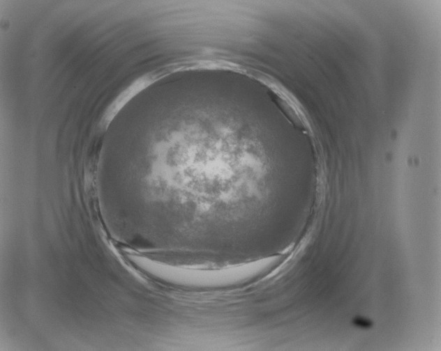 X0000082691385200702232153