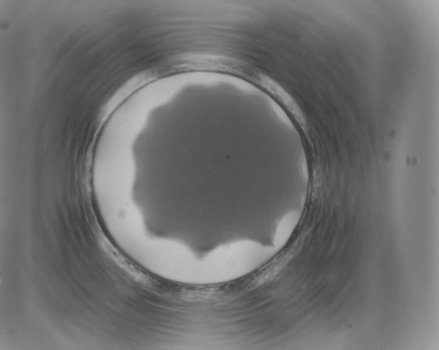 X0000082691386200702232153