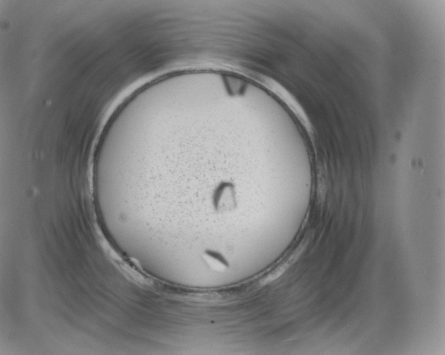 X0000082691388200702232153