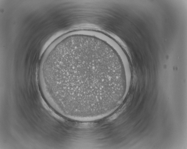 X0000082691390200702232153